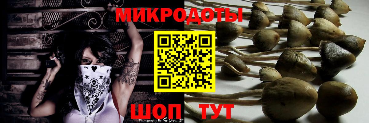 Псилоцибиновые грибы MAGIC MUSHROOMS  Галлюциногенные грибы мухоморы  Вход с VPN  Каменск-Шахтинский 