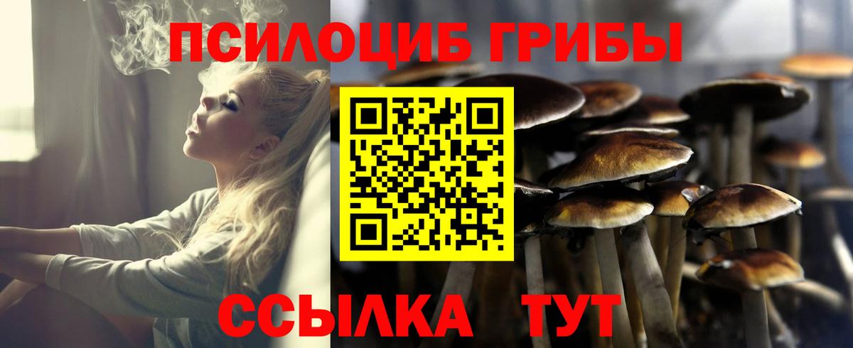 Галлюциногенные грибы мицелий Каменск-Шахтинский